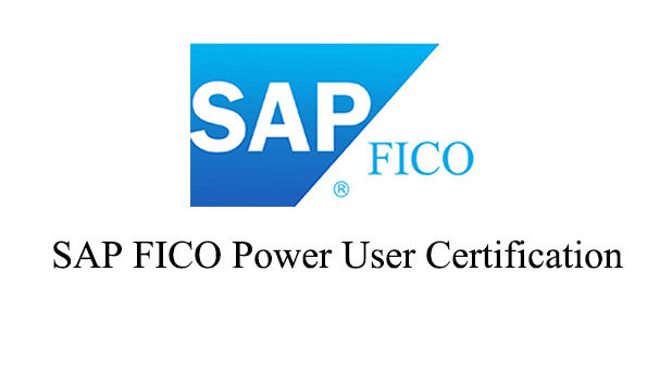 SAP FICO POWER USER